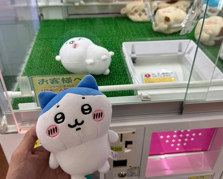 アミューズメントパークMG 徳島店 ちいかわ景品ゲット