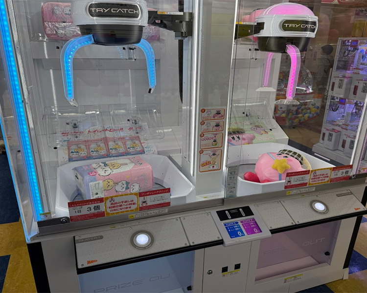 ふぇすたらんど脇町店 店内