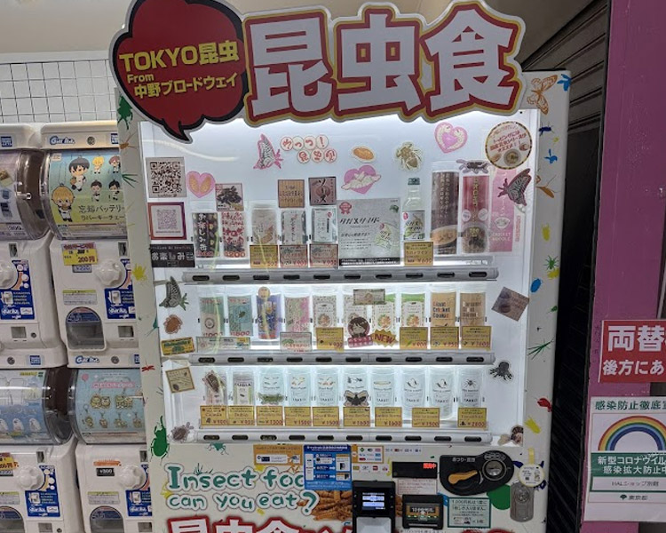 HALショップ別館 昆虫食自販機