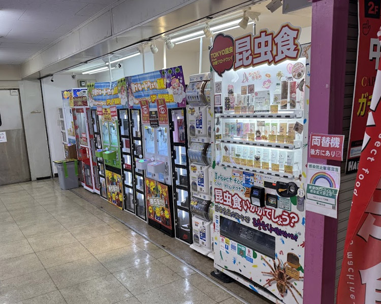 HALショップ別館