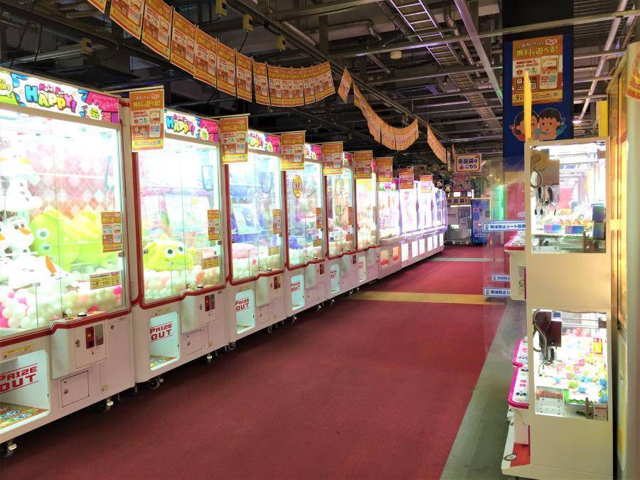 フェドラ P＆D 佐野