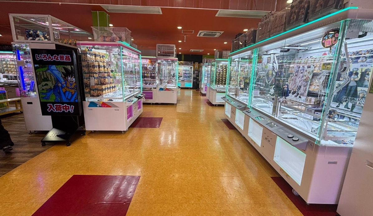 アミパラがいな